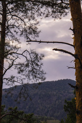 Similar image 21655353