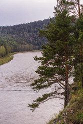 Similar image 21655355