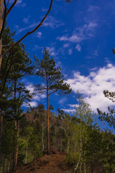 Similar image 21655366