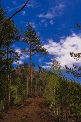 Similar image 21655368