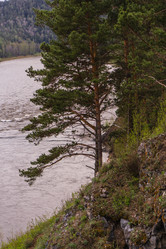 Similar image 21655372