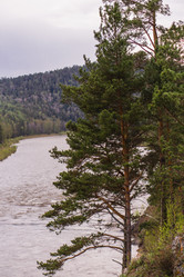 Similar image 21655378