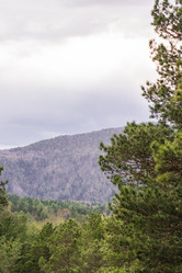 Similar image 21655379