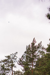 Similar image 21655380