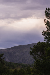 Similar image 21655381