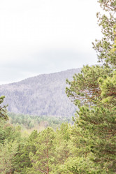 Similar image 21655384