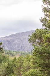 Similar image 21655386