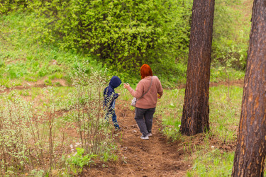 Similar image 21655387