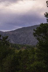 Similar image 21648892