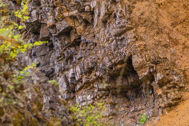 Similar image 21648893