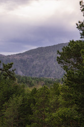 Similar image 21648894