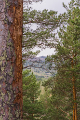 Similar image 21648897