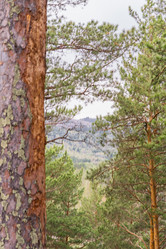 Similar image 21648898