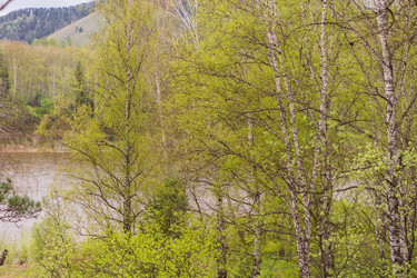 Similar image 21648902