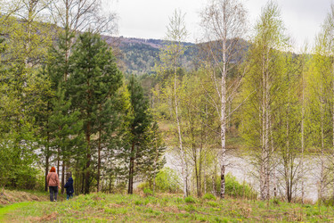 Similar image 21648910