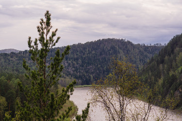 Similar image 21648917