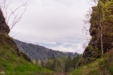 Similar image 21648920