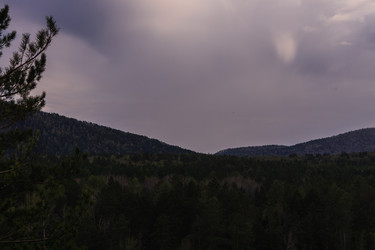 Similar image 21648921