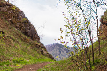 Similar image 21648922