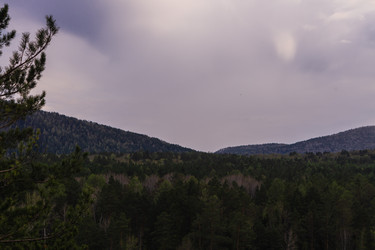 Similar image 21648923