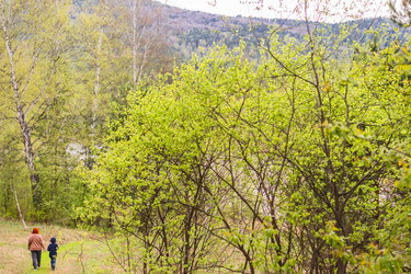 Similar image 21648924