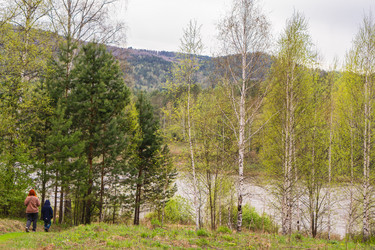 Similar image 21648926