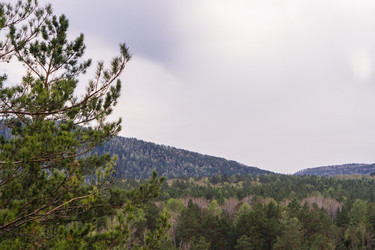 Similar image 21648927