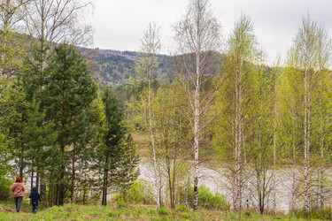 Similar image 21648928