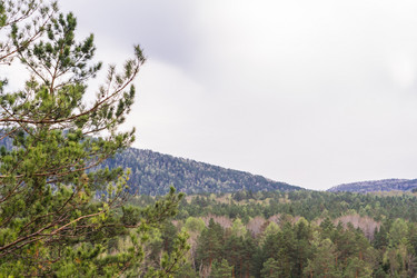 Similar image 21648932