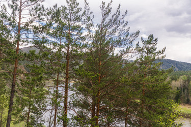 Similar image 21652016