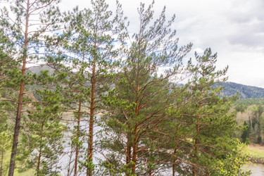 Similar image 21652018