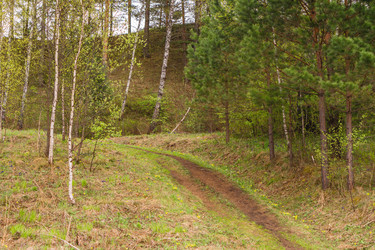 Similar image 21652025