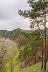 Similar image 21652026