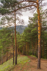 Similar image 21652028