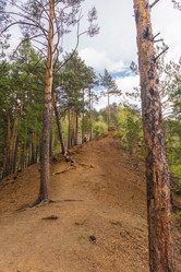 Similar image 21652030