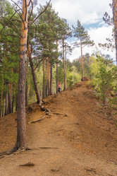 Similar image 21652032