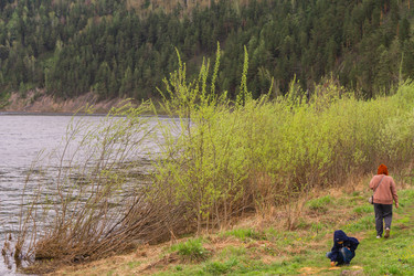 Similar image 21652039