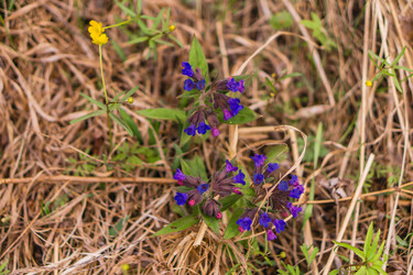 Similar image 21654614