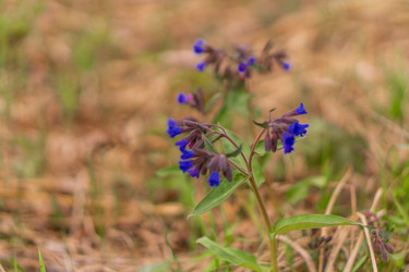 Similar image 21654615