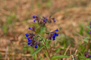 Similar image 21654616