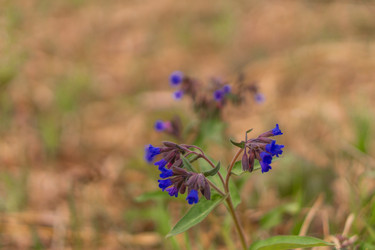 Similar image 21654618