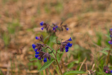 Similar image 21654620