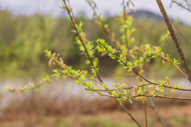 Similar image 21654621