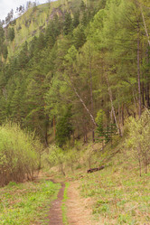 Similar image 21655043