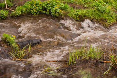 Similar image 21648966