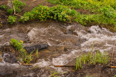 Similar image 21648967