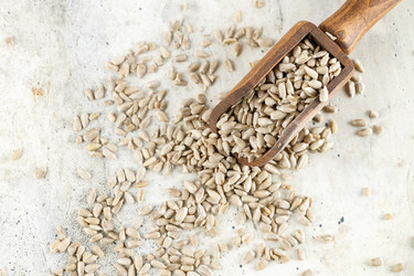 Similar image 21640248