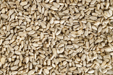 Similar image 21640430