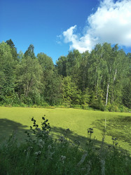 Similar image 21657034