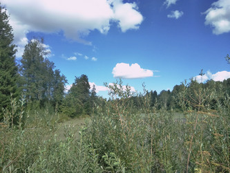 Similar image 21657037